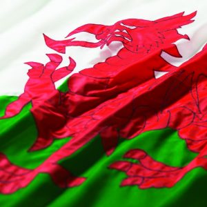 Welsh flag focused on the red dragon