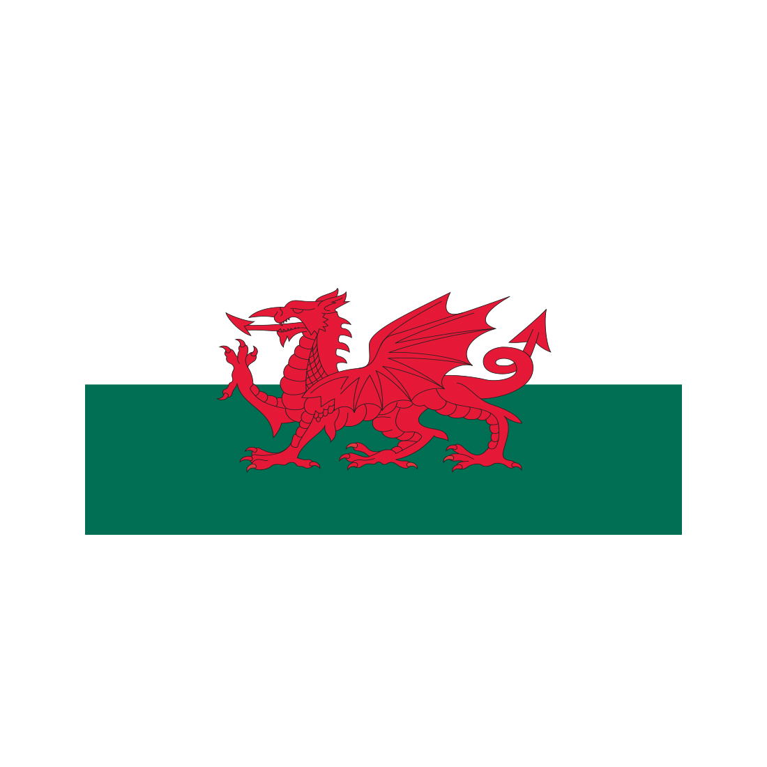 Welsh Cymru flag