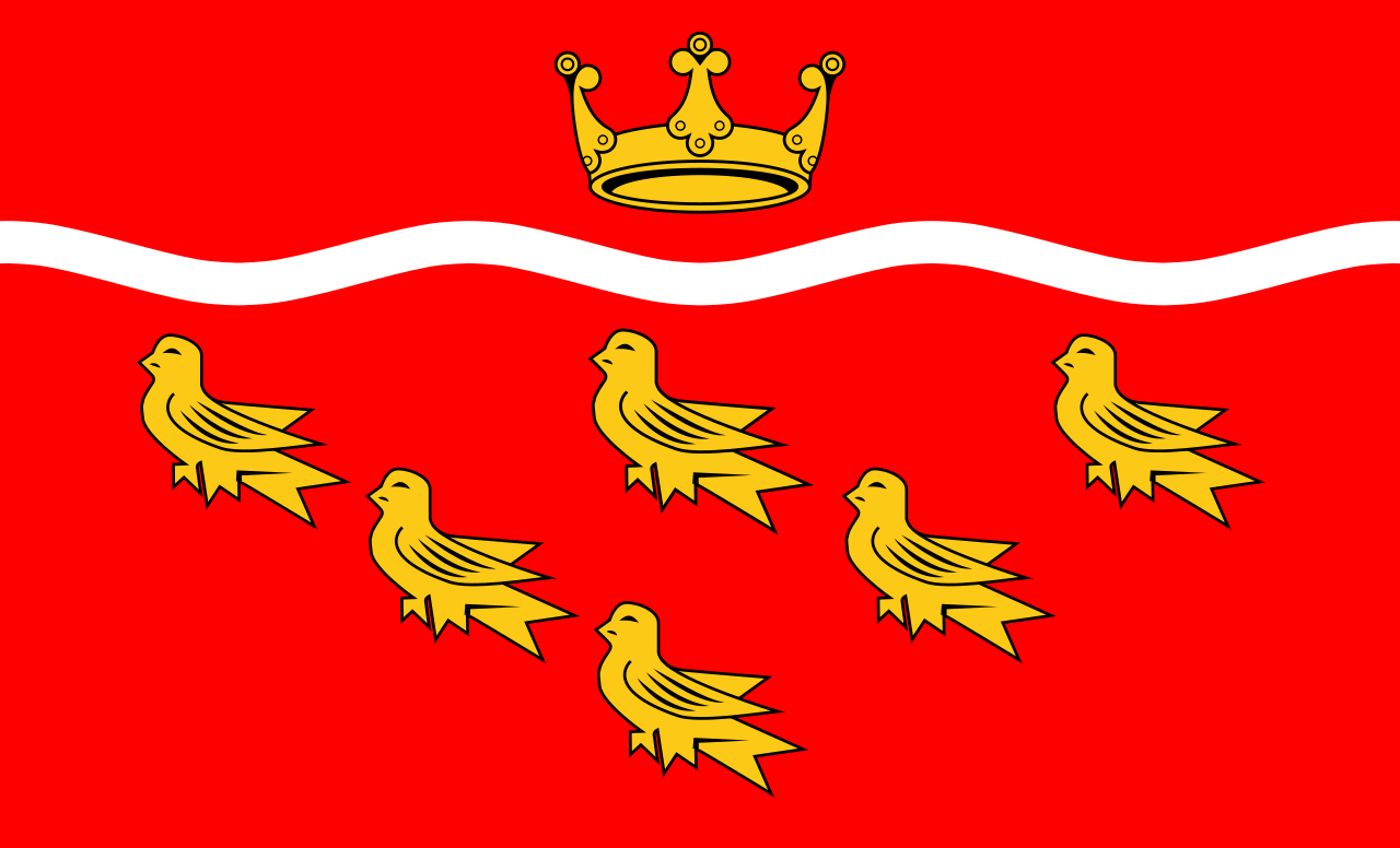 East Sussex County flag
