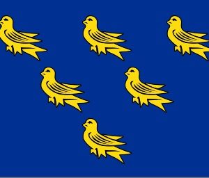 Sussex county flag