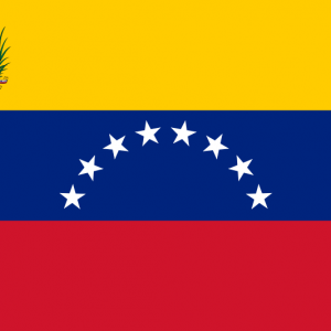 Venezuela flag