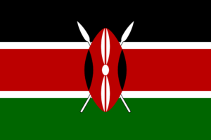 Kenya flag - black, red and green colours