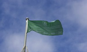 eco-friendly flag