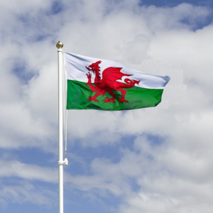 Buy Welsh Flag