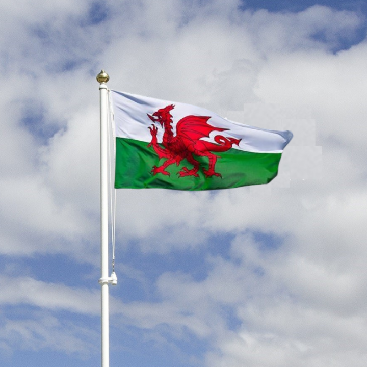 Buy Welsh Flag and Garden flagpole - online Harrison Flagpoles