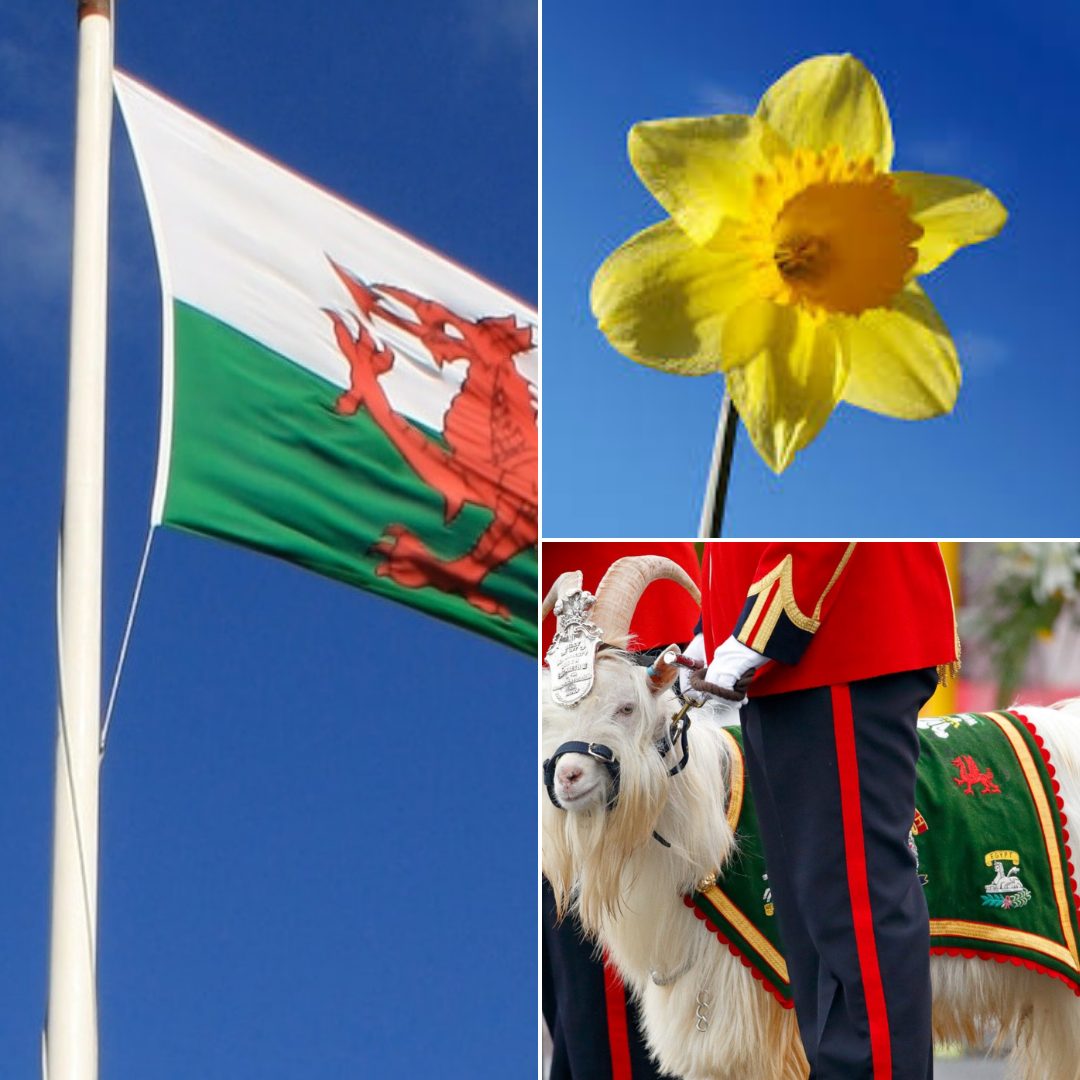 St David's Day, who was he & why do we celebrate St David's Day?