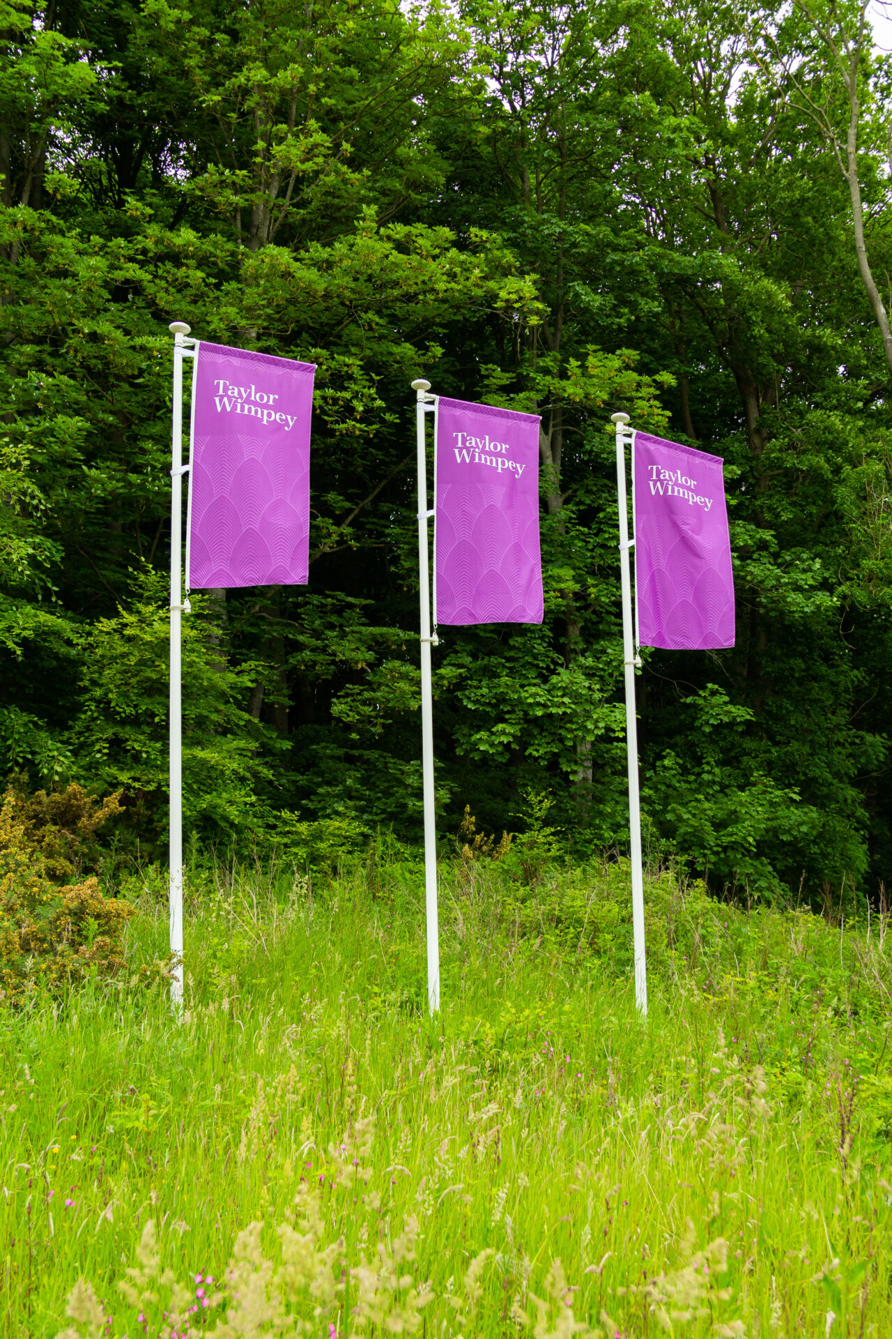 TW Site entrance Trio of Flags 3 Portrait Harrison Flagpoles
