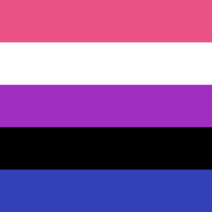 Gender Fluid Pride flag