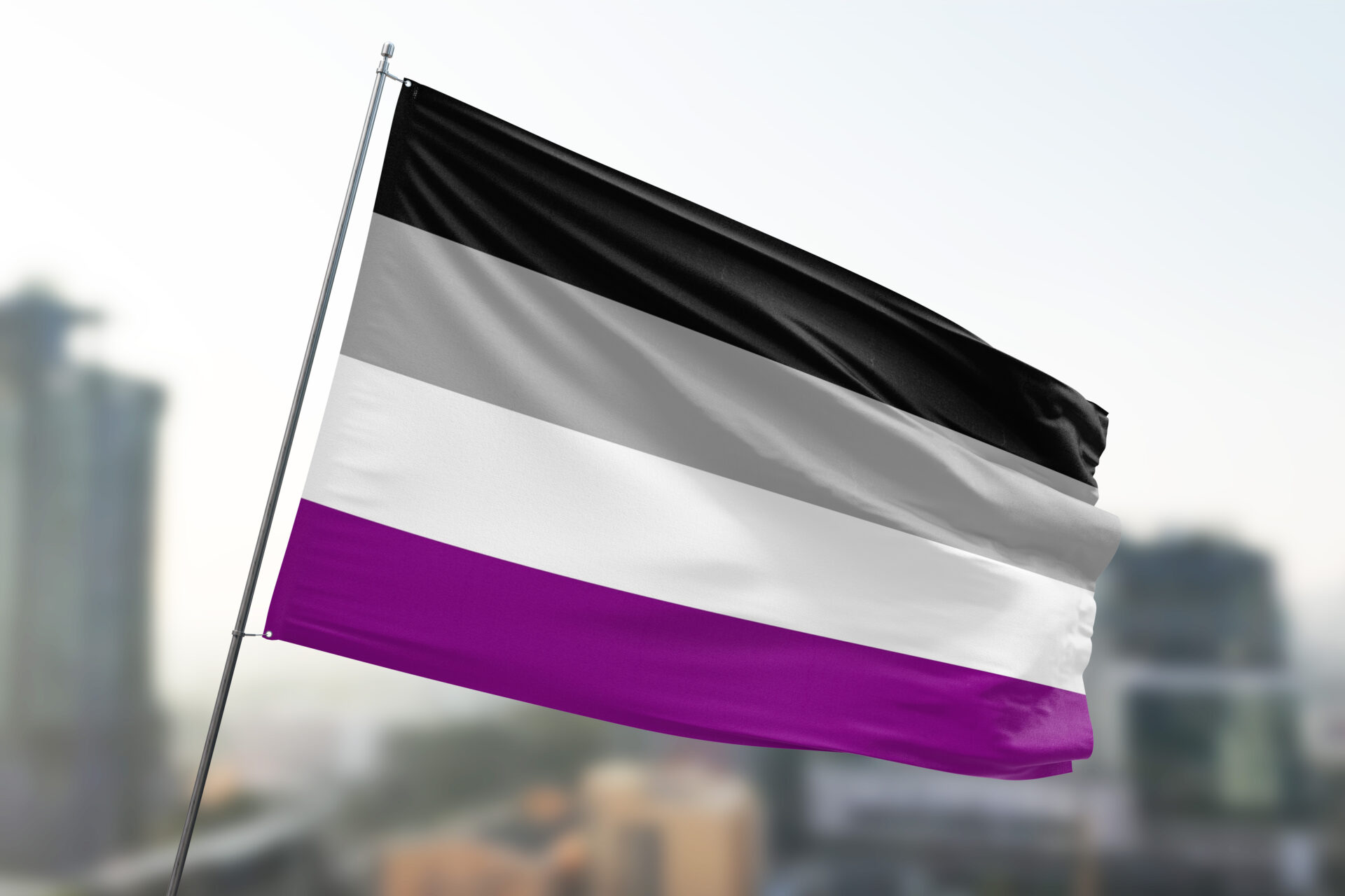 Asexual Flags Asexual Pride Flags | My XXX Hot Girl