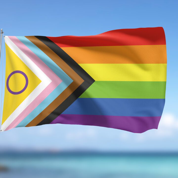 Intersex Progress Pride flag | Harrison Flagpoles