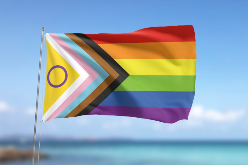 Intersex Progress Pride Flag