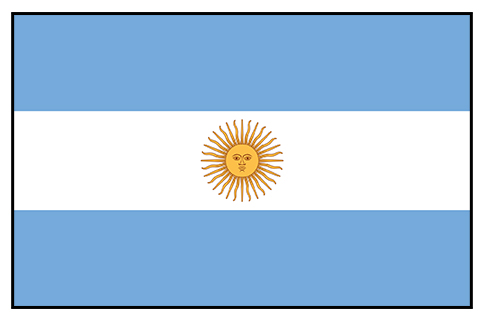 World Cup - Argentina flag