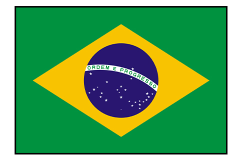 World Cup Brazil flag