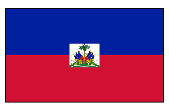 World Cup Haiti flag