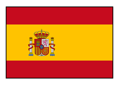 Womens World Cup - Spain flag