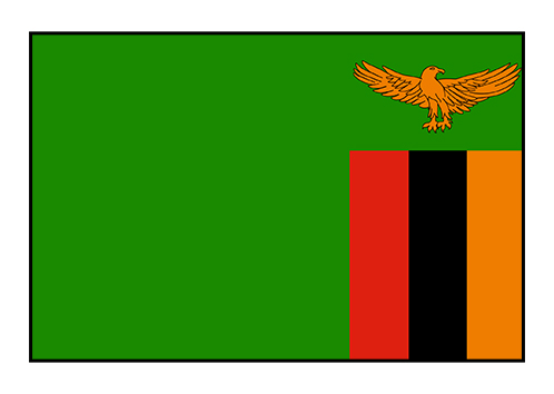 Womens World Cup - Zambia flag